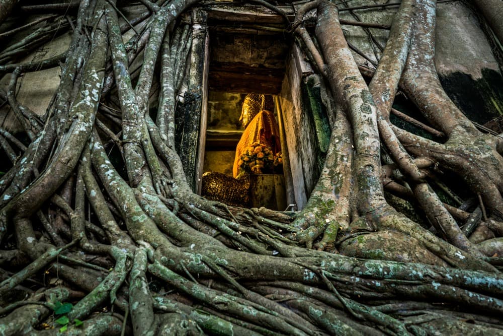 wat bang kung