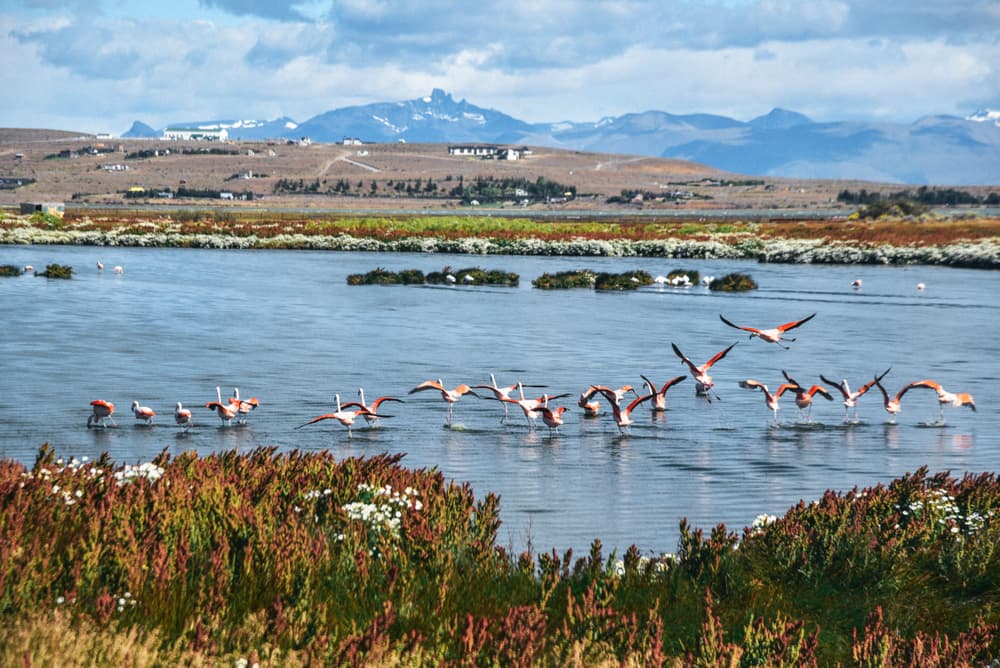 El Calafate et glaciers