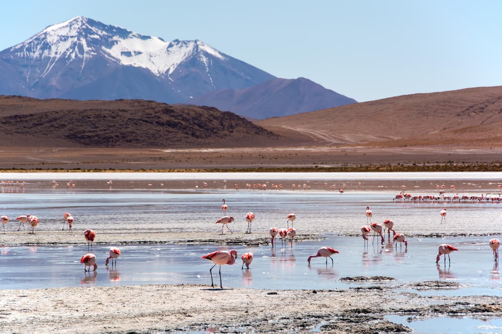 Sud Lipez et frontière chilienne